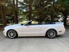 Thumbnail Photo 12 for 2007 Ford Mustang GT Convertible